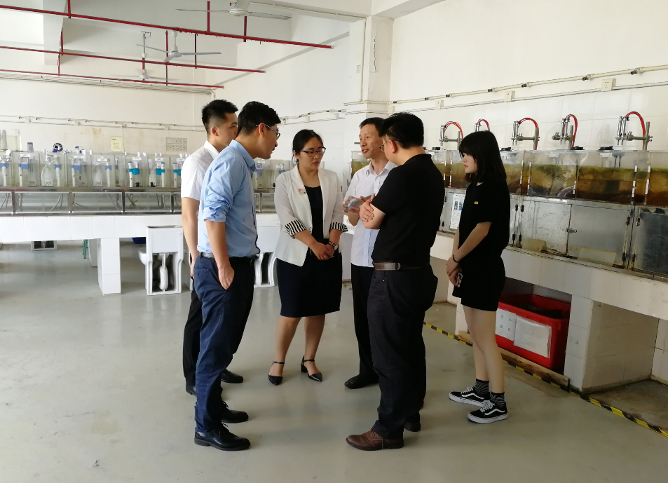 1561975067873355.png 201904260101 (6).png