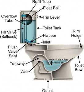 1564372524302904.jpg toilet-cut-out-diagram-274x300.jpg