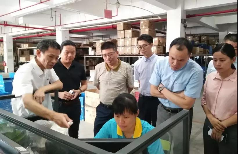 1565330377644888.jpg 10.jpg